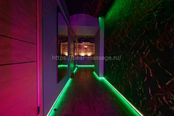 Салон Медведь - ran-devu.com